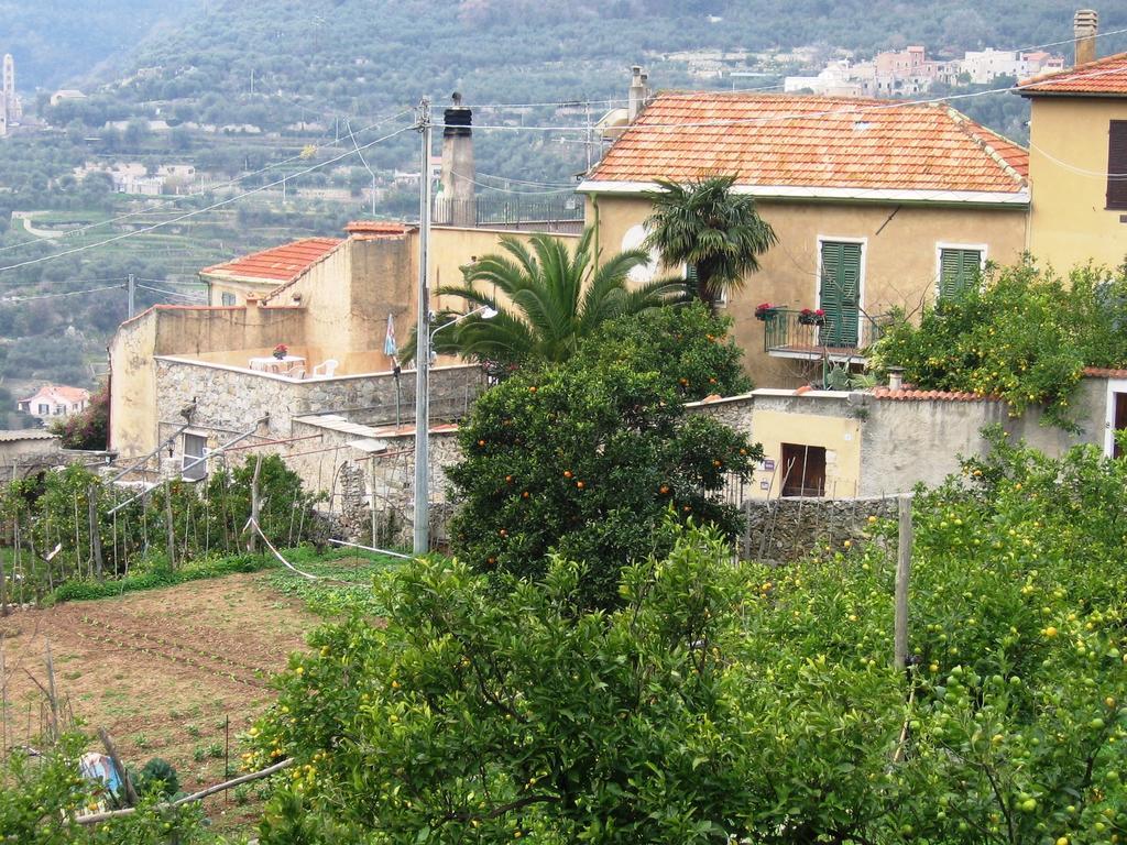 Agriturismo Barilaro 菲纳莱利古雷 外观 照片