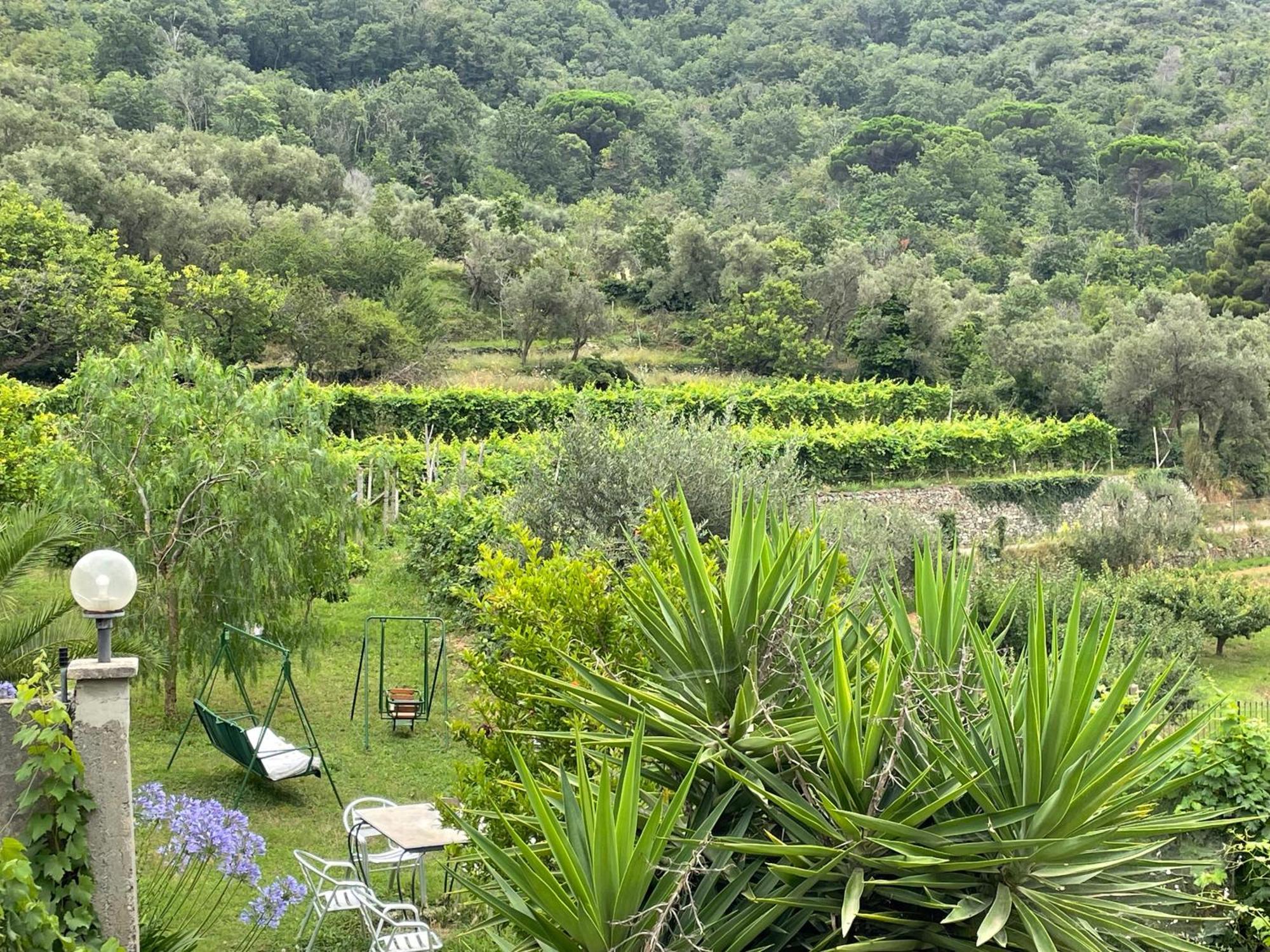 Agriturismo Barilaro 菲纳莱利古雷 外观 照片