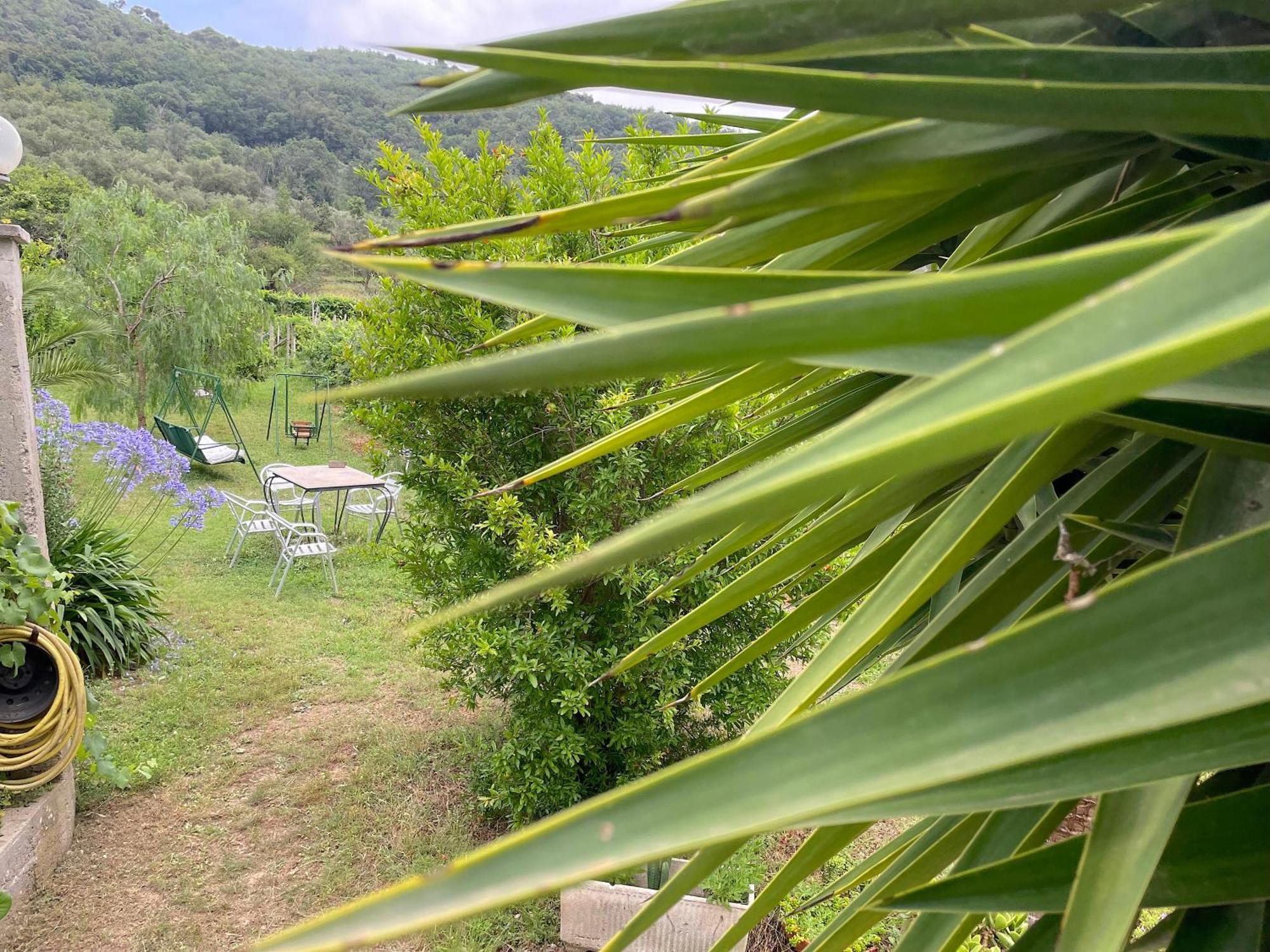 Agriturismo Barilaro 菲纳莱利古雷 外观 照片