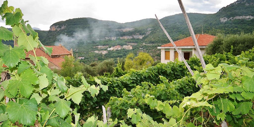 Agriturismo Barilaro 菲纳莱利古雷 外观 照片