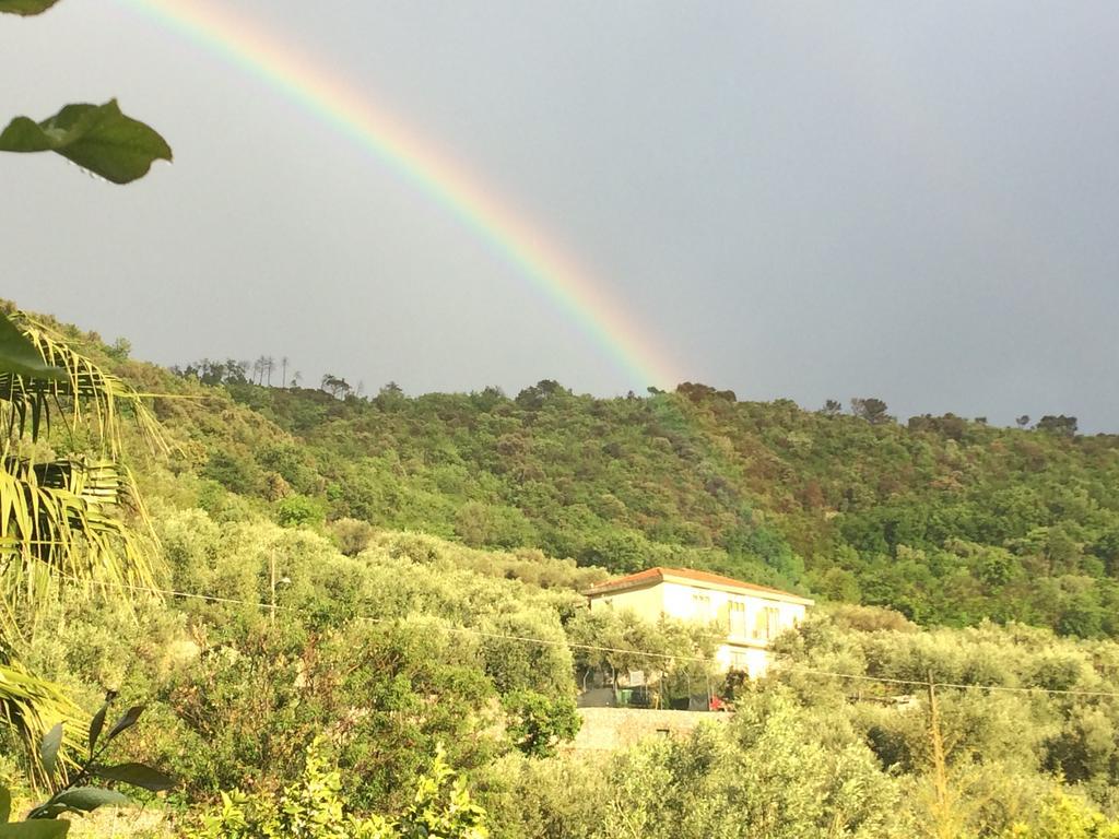 Agriturismo Barilaro 菲纳莱利古雷 外观 照片
